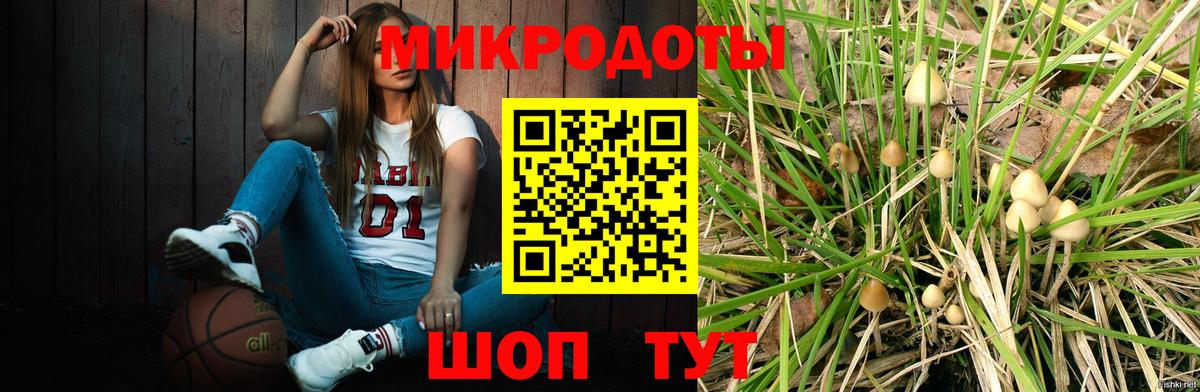 Галлюциногенные грибы мухоморы Железногорск