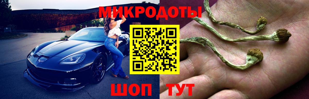 Галлюциногенные грибы Psilocybine cubensis  Вход с VPN  Железногорск 